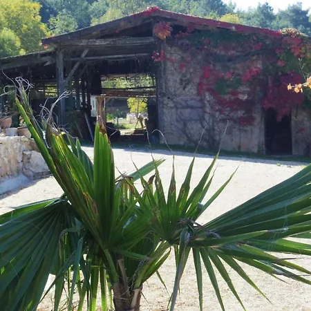 Les Meulieres Chambres Lascaux, Zen Et Romantique A Domme Bed & Breakfast 3*