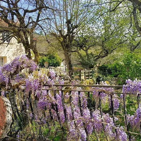 Les Meulieres Chambres Lascaux, Zen Et Romantique A Domme Bed & Breakfast 3*